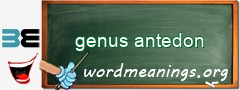 WordMeaning blackboard for genus antedon